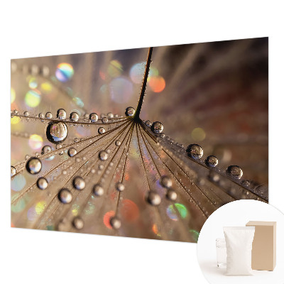 Fototapeta na ścianę Perłowe krople