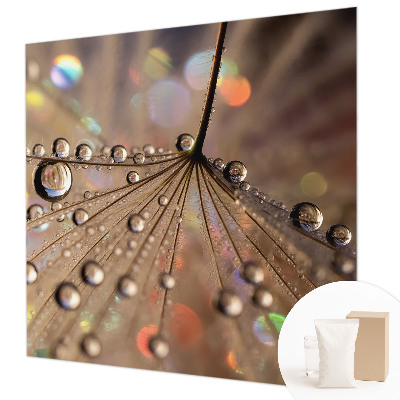 Fototapeta na ścianę Perłowe krople