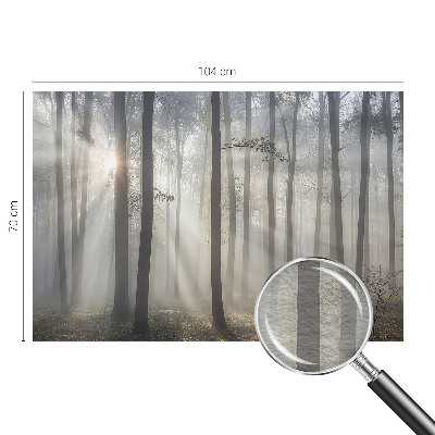 Fototapeta fizelinowa do sypialni z motywem eterycznego lasu