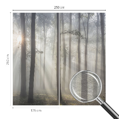 Fototapeta fizelinowa do sypialni Eteryczny las