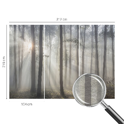 Fototapeta fizelinowa do sypialni Eteryczny las