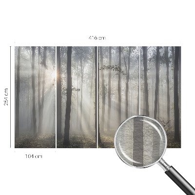 Fototapeta fizelinowa do sypialni Eteryczny las