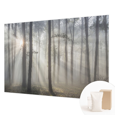 Fototapeta fizelinowa do sypialni z motywem eterycznego lasu