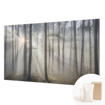 Fototapeta fizelinowa do sypialni Eteryczny las