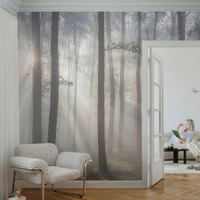 Fototapeta fizelinowa do sypialni Eteryczny las