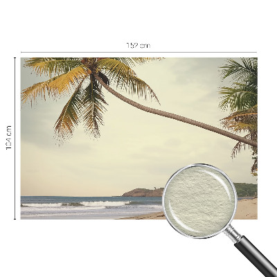 Fototapeta na ścianę Fototapeta na ścianę Tropikalny pejzaż