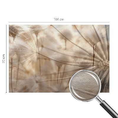 Nowoczesna fototapeta do salonu Subtelne dmuchawce