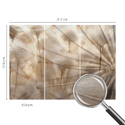 Nowoczesna fototapeta do salonu Subtelne dmuchawce