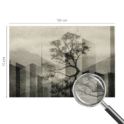 Nowoczesna fototapeta do salonu Surowa elegancja