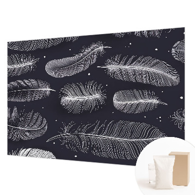 Dekoracyjna fototapeta na ścianę Subtelne pióra