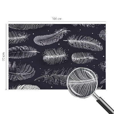 Dekoracyjna fototapeta na ścianę Subtelne pióra