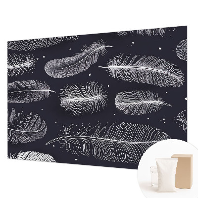Dekoracyjna fototapeta na ścianę Subtelne pióra