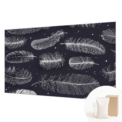 Dekoracyjna fototapeta na ścianę Subtelne pióra