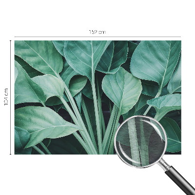 Fototapeta na ścianę Zielona natura