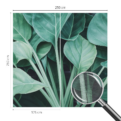 Fototapeta na ścianę Zielona natura