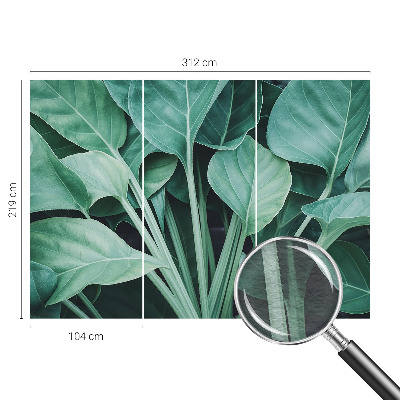 Fototapeta na ścianę Zielona natura