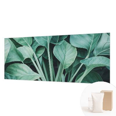 Fototapeta na ścianę Zielona natura