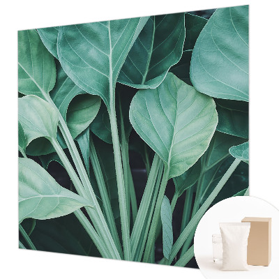 Fototapeta na ścianę Zielona natura