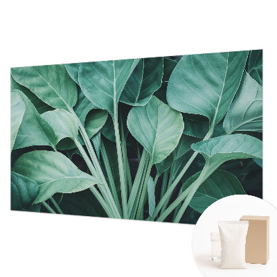 Fototapeta na ścianę Zielona natura