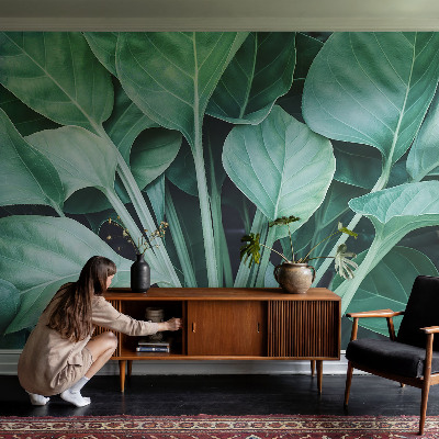 Fototapeta na ścianę Zielona natura