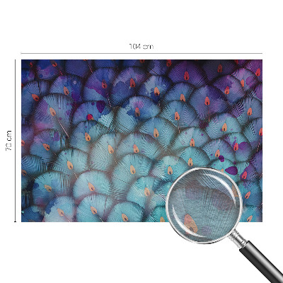 Nowoczesna fototapeta do salonu Kolorowe pióra