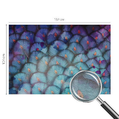 Nowoczesna fototapeta do salonu Kolorowe pióra