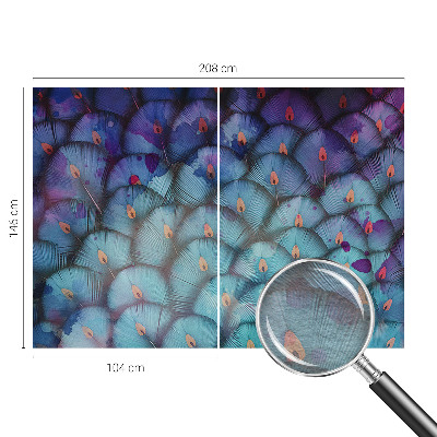 Nowoczesna fototapeta do salonu Kolorowe pióra