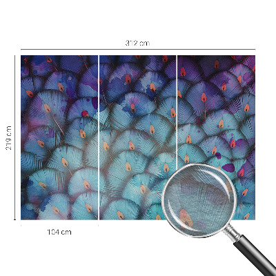 Nowoczesna fototapeta do salonu Kolorowe pióra