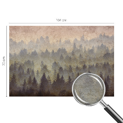 Nowoczesna fototapeta do salonu Leśna mgła