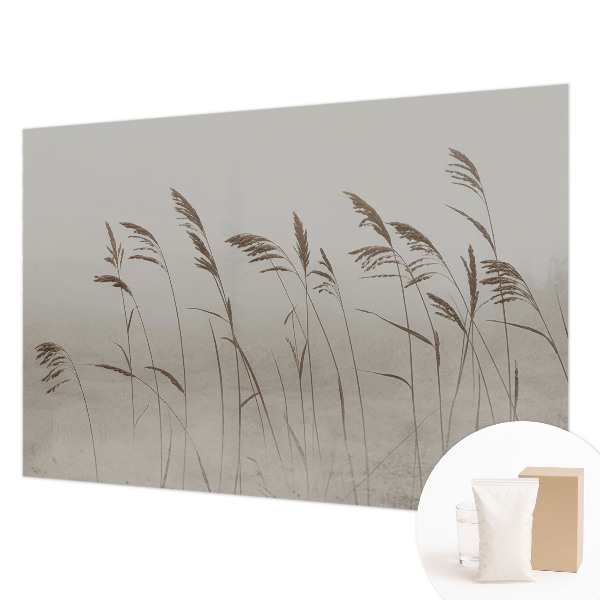 Dekoracyjna fototapeta na ścianę Trawy wśród mgły