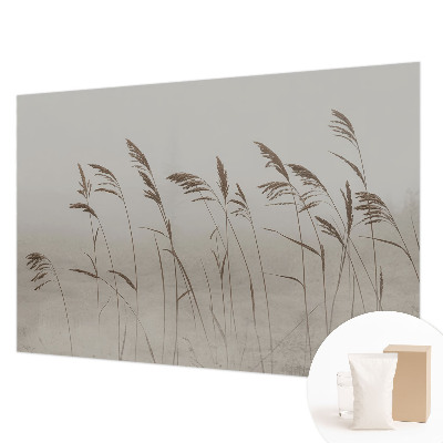 Dekoracyjna fototapeta na ścianę Trawy wśród mgły