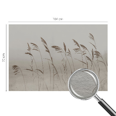 Dekoracyjna fototapeta na ścianę Trawy wśród mgły