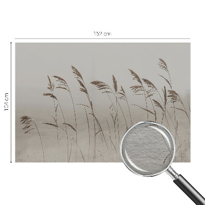 Dekoracyjna fototapeta na ścianę Trawy wśród mgły