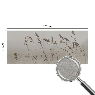 Dekoracyjna fototapeta na ścianę Trawy wśród mgły