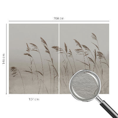 Dekoracyjna fototapeta na ścianę Trawy wśród mgły