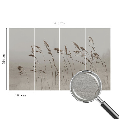 Dekoracyjna fototapeta na ścianę Trawy wśród mgły