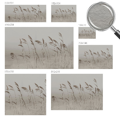 Dekoracyjna fototapeta na ścianę Trawy wśród mgły