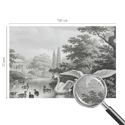 Fototapeta na ścianę Elegancja natury