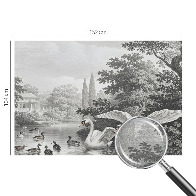 Fototapeta na ścianę Elegancja natury