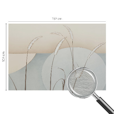 Tapeta fotograficzna Łagodne trawy