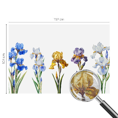 Tapeta fotograficzna Kwiaty irysów