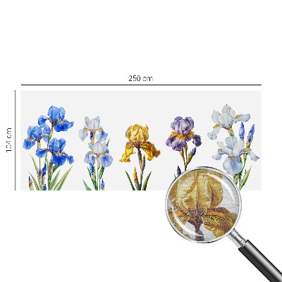 Tapeta fotograficzna Kwiaty irysów