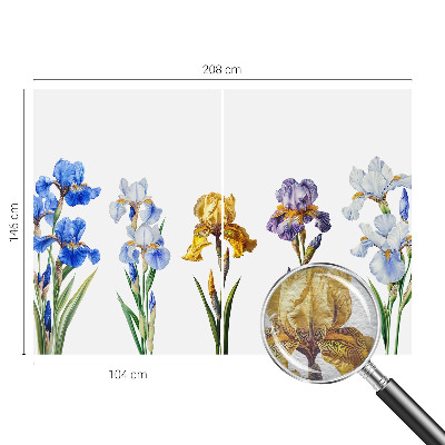 Tapeta fotograficzna Kwiaty irysów