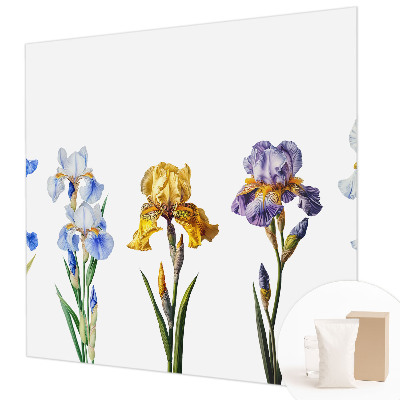 Tapeta fotograficzna Kwiaty irysów