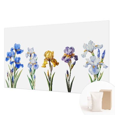 Tapeta fotograficzna Kwiaty irysów