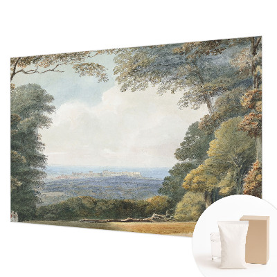 Fototapeta na ścianę Zalesiony krajobraz