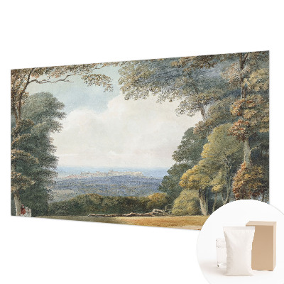 Fototapeta na ścianę Zalesiony krajobraz