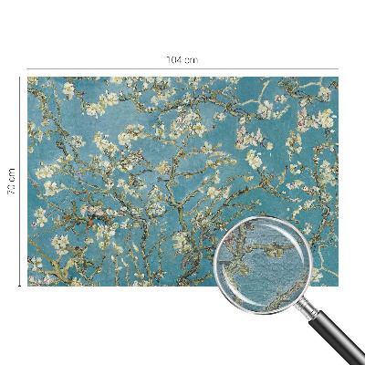 Fototapeta fizelinowa do sypialni Kwitnące gałęzie