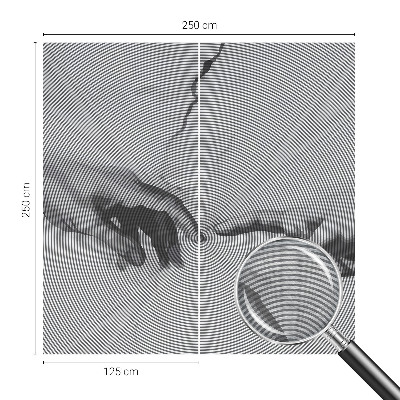 Fototapeta na ścianę Hipnotyczne dłonie