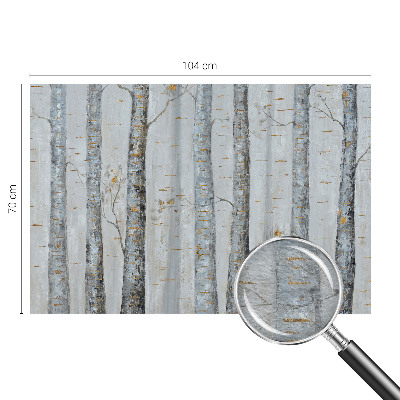 Tapeta fotograficzna fizelinowa Brzozowe drzewa